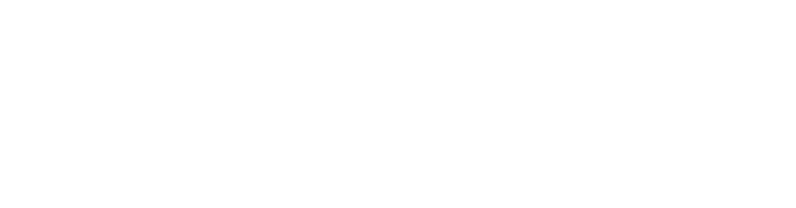 TransfoDev